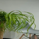 コンセプト